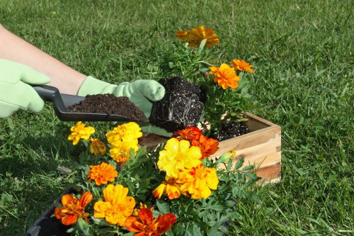 Environmental benefits of tree maintenance